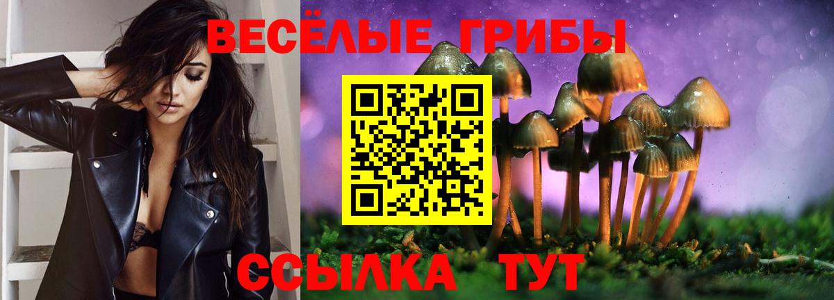 Псилоцибиновые грибы Psilocybine cubensis  Вход с VPN  Галлюциногенные грибы прущие грибы  Ухта 