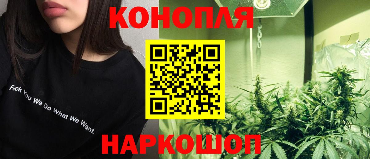 Канабис конопля Ухта